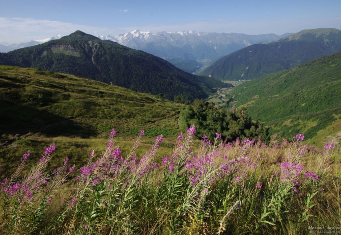 Сванетия-2012. Фотоальбом (Горный туризм, донгуз-орун, ушба, чалаат, лекзыр, твибер, китлод, цаннер, грузия)