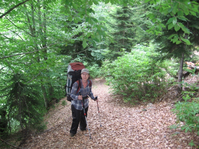 Сванетия-2012. Семейный треккинг. (Горный туризм, грузия сванетия треккинг лайла)