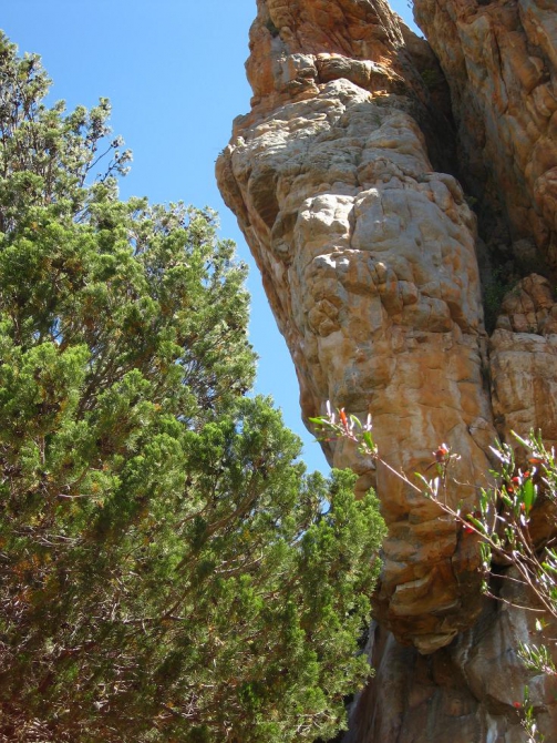 Mt. Arapiles, Australia- краткое описание района. (Скалолазание, австралия, трад, скалолазание)