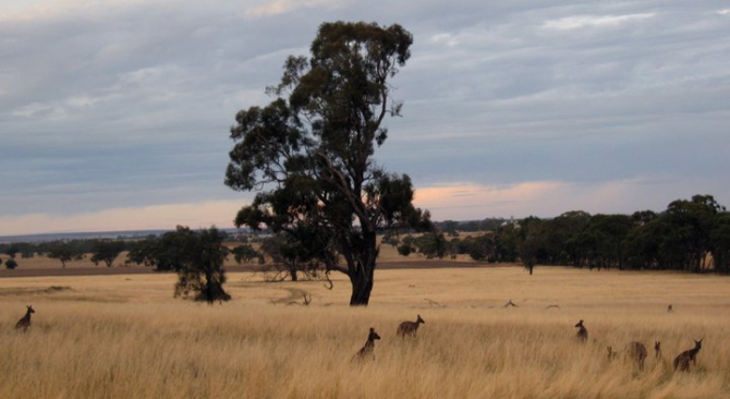 Mt. Arapiles, Australia- краткое описание района. (Скалолазание, австралия, трад, скалолазание)