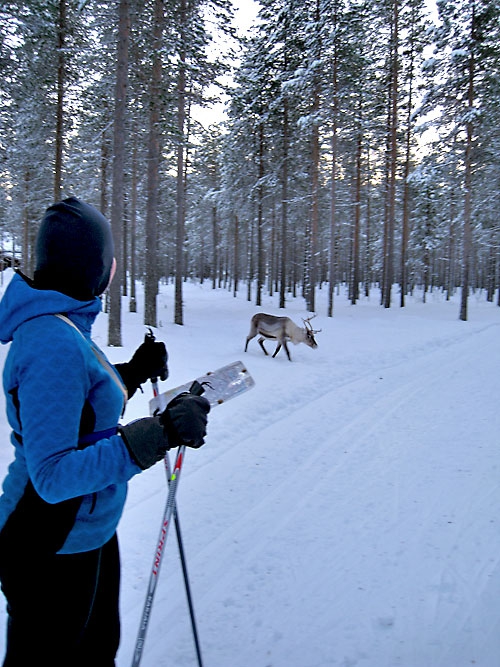А у нас здесь снег. Много, много снега. Завидуете? (Мультигонки)