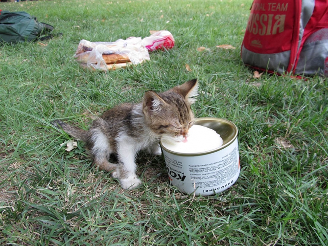 "Стальной Ангел-2012". Ирина Бакалейникова и Полина Галацевич (Альпинизм, замин-карор, grivel, гривель, фар)