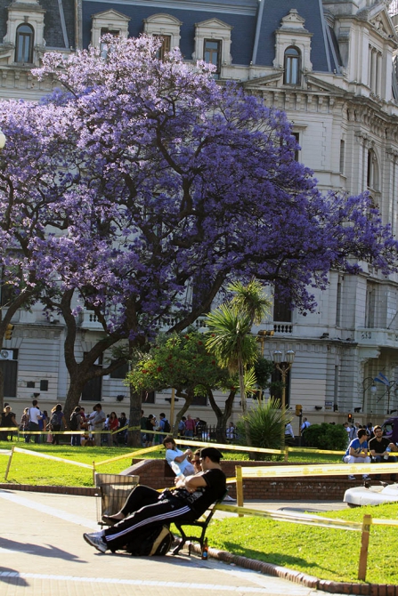 The Petzl RocTrip. Занесенные ветром! (Скалолазание, фестиваль, аргентина, крутые, пьедра парада, 10 лет petzl roctrip, piedra parada)