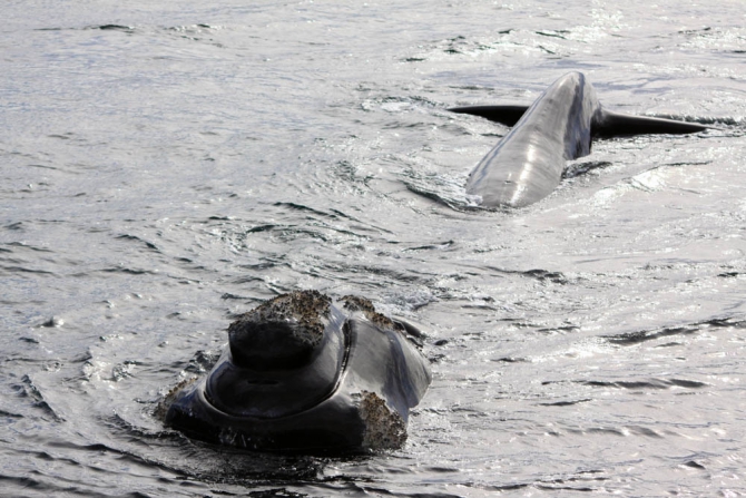 The Petzl RocTrip. Занесенные ветром! (Скалолазание, фестиваль, аргентина, крутые, пьедра парада, 10 лет petzl roctrip, piedra parada)