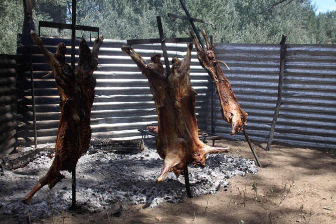 The Petzl RocTrip. Занесенные ветром! (Скалолазание, фестиваль, аргентина, крутые, пьедра парада, 10 лет petzl roctrip, piedra parada)