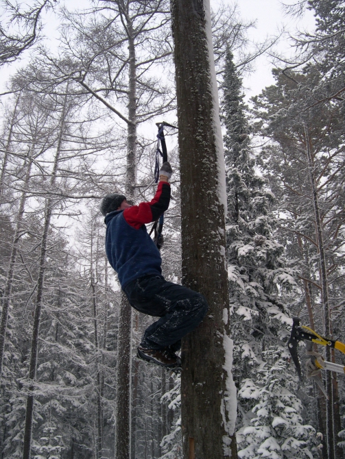 ТОЧИТЕ КОГТИ!!! (Альпинизм, боулдеринг, драйтулинг, связки, хитрушки, фестиваль, рождество, столбы)