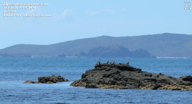 Два месяца приостановки пролетели незаметно: пора ладье РУСИЧ и дальше идти! (Путешествия, братья синельники, ладья русич)
