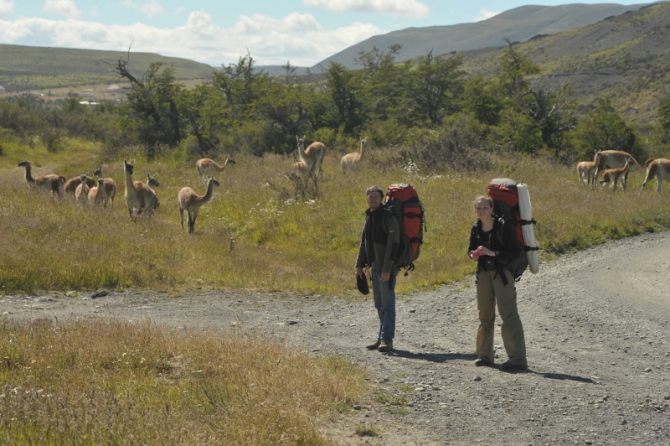 Проект "Нарвал - Огненная Земля" - на мыс Горн на разборных катамаранах (Путешествия, торрес дель пайне, пингвины, парусный катамаран)