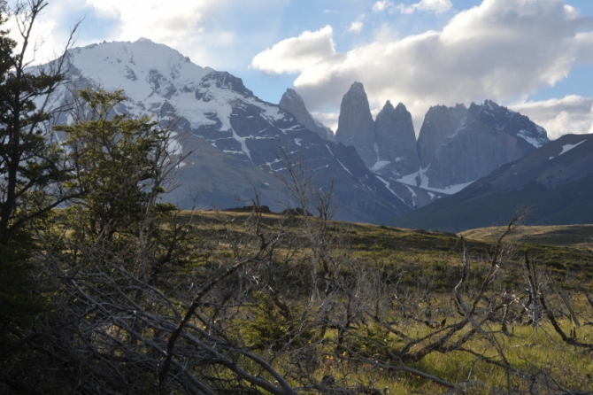 Проект "Нарвал - Огненная Земля" - на мыс Горн на разборных катамаранах (Путешествия, торрес дель пайне, пингвины, парусный катамаран)