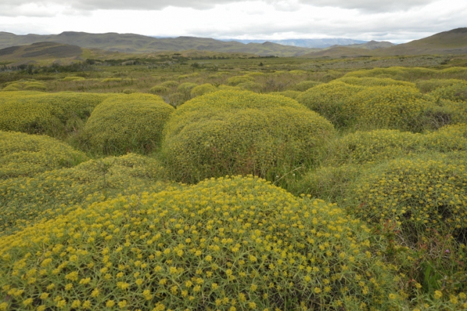 Проект "Нарвал - Огненная Земля" - на мыс Горн на разборных катамаранах (Путешествия, торрес дель пайне, пингвины, парусный катамаран)