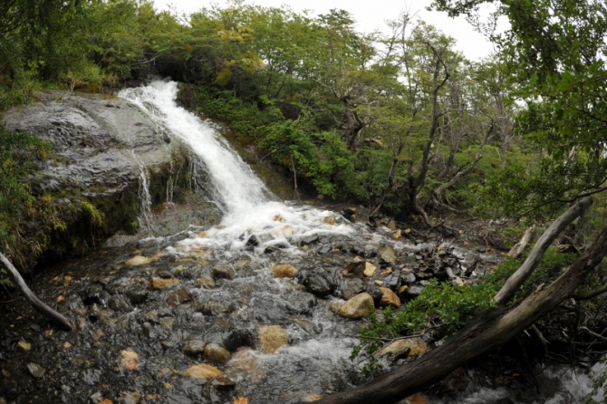 Проект "Нарвал - Огненная Земля" - на мыс Горн на разборных катамаранах (Путешествия, торрес дель пайне, пингвины, парусный катамаран)