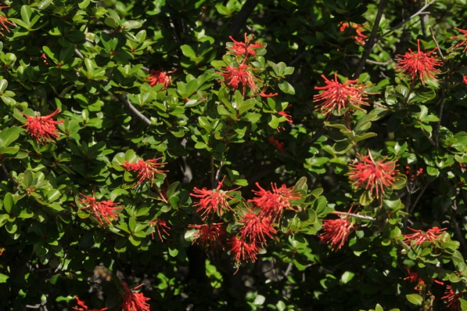 Проект "Нарвал - Огненная Земля" - на мыс Горн на разборных катамаранах (Путешествия, торрес дель пайне, пингвины, парусный катамаран)