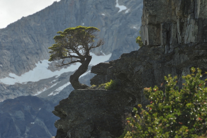 Проект "Нарвал - Огненная Земля" - на мыс Горн на разборных катамаранах (Путешествия, торрес дель пайне, пингвины, парусный катамаран)