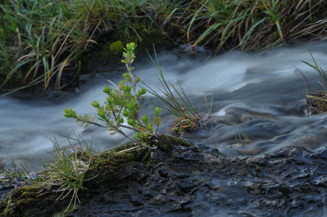 Проект "Нарвал - Огненная Земля" - на мыс Горн на разборных катамаранах (Путешествия, торрес дель пайне, пингвины, парусный катамаран)