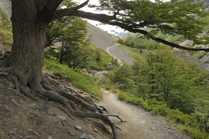 Проект "Нарвал - Огненная Земля" - на мыс Горн на разборных катамаранах (Путешествия, торрес дель пайне, пингвины, парусный катамаран)