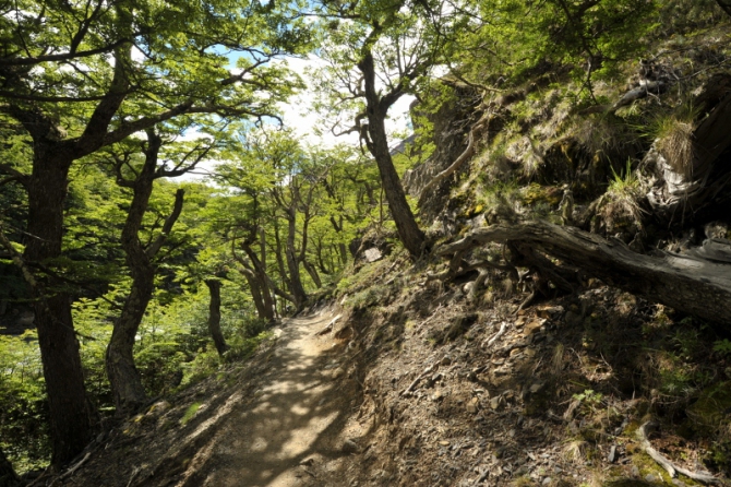 Проект "Нарвал - Огненная Земля" - на мыс Горн на разборных катамаранах (Путешествия, торрес дель пайне, пингвины, парусный катамаран)