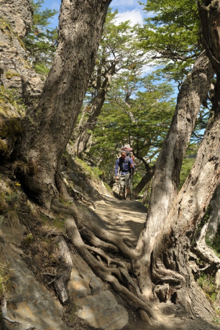 Проект "Нарвал - Огненная Земля" - на мыс Горн на разборных катамаранах (Путешествия, торрес дель пайне, пингвины, парусный катамаран)