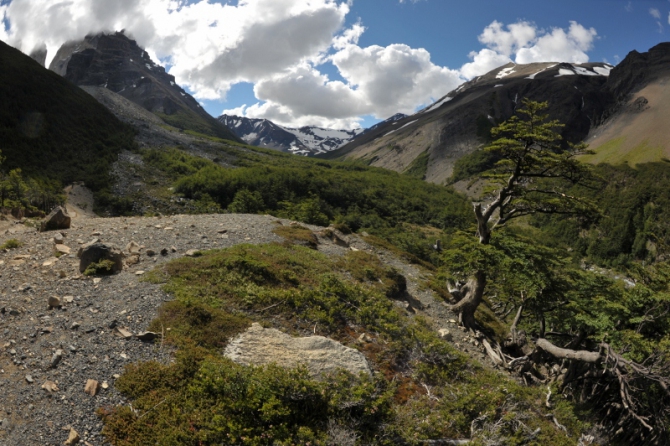 Проект "Нарвал - Огненная Земля" - на мыс Горн на разборных катамаранах (Путешествия, торрес дель пайне, пингвины, парусный катамаран)