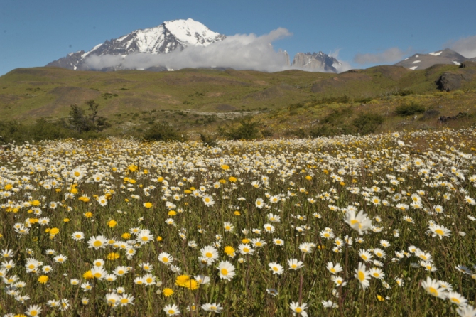 Проект "Нарвал - Огненная Земля" - на мыс Горн на разборных катамаранах (Путешествия, торрес дель пайне, пингвины, парусный катамаран)