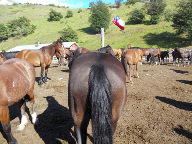 Проект "Нарвал - Огненная Земля" - на мыс Горн на разборных катамаранах (Путешествия, торрес дель пайне, пингвины, парусный катамаран)
