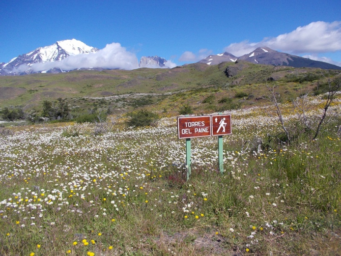 Проект "Нарвал - Огненная Земля" - на мыс Горн на разборных катамаранах (Путешествия, торрес дель пайне, пингвины, парусный катамаран)