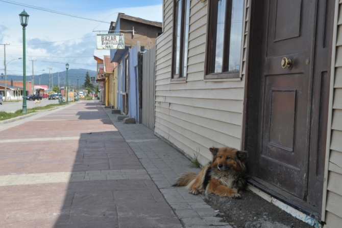 Проект "Нарвал - Огненная Земля" - на мыс Горн на разборных катамаранах (Путешествия, торрес дель пайне, пингвины, парусный катамаран)