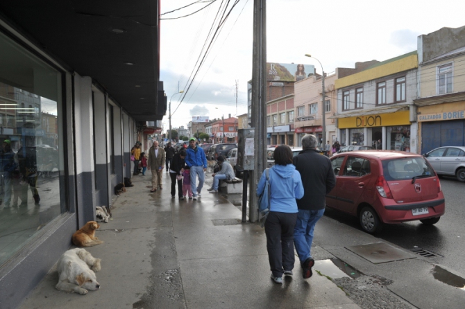 Проект "Нарвал - Огненная Земля" - на мыс Горн на разборных катамаранах (Путешествия, торрес дель пайне, пингвины, парусный катамаран)