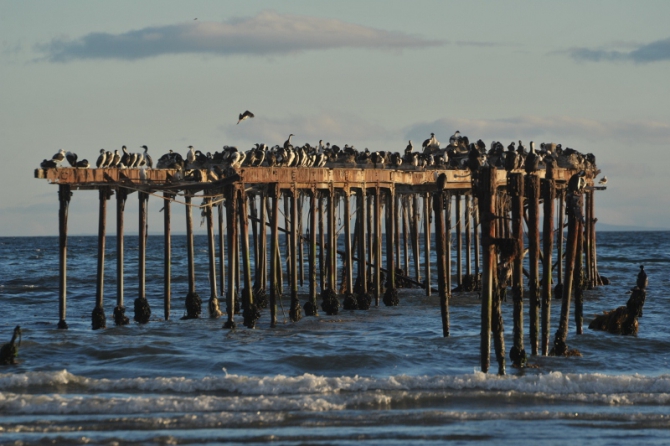 Проект "Нарвал - Огненная Земля" - на мыс Горн на разборных катамаранах (Путешествия, торрес дель пайне, пингвины, парусный катамаран)