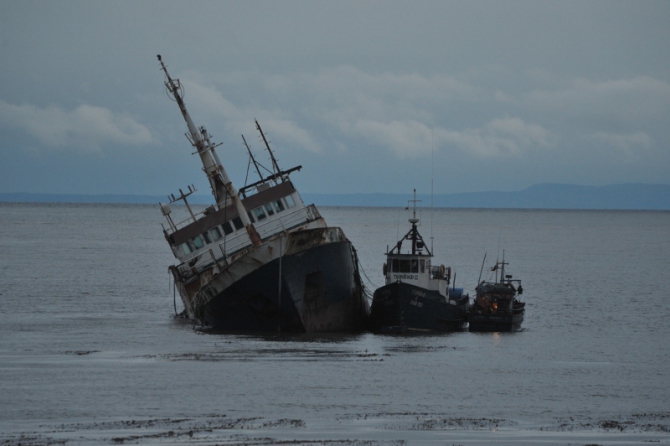 Проект "Нарвал - Огненная Земля" - на мыс Горн на разборных катамаранах (Путешествия, торрес дель пайне, пингвины, парусный катамаран)