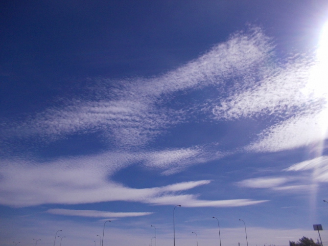 Проект "Нарвал - Огненная Земля" - на мыс Горн на разборных катамаранах (Путешествия, торрес дель пайне, пингвины, парусный катамаран)