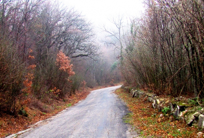Новогодний Крым. Фотоальбом (Путешествия)