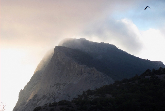 Новогодний Крым. Фотоальбом (Путешествия)