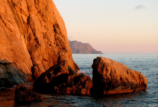 Новогодний Крым. Фотоальбом (Путешествия)