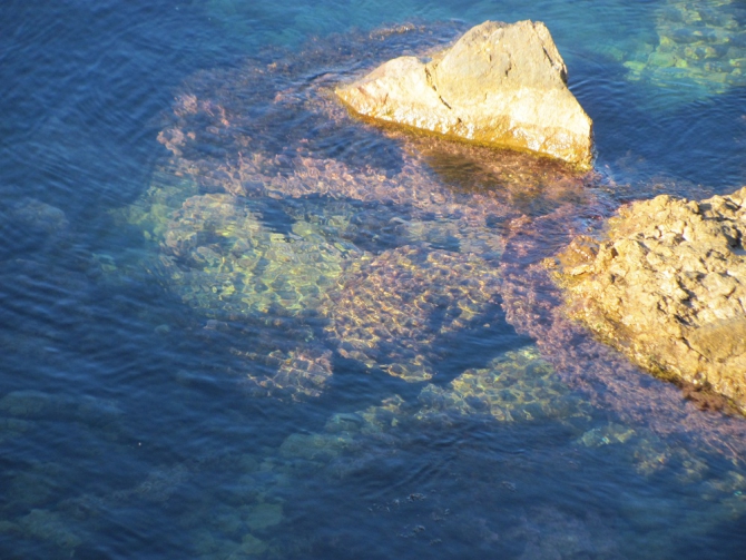 Новогодний Крым. Фотоальбом (Путешествия)