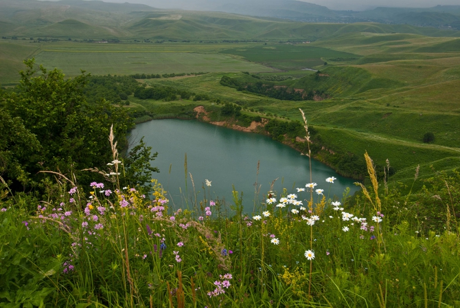 Горные цветы (Горный туризм, кабардино-балкария)