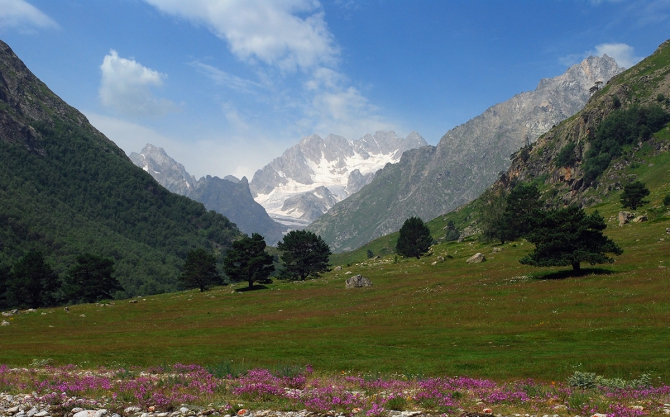 Горные цветы (Горный туризм, кабардино-балкария)