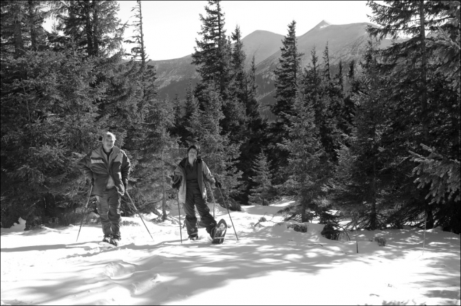 Горганами по снегоступам (Путешествия, карпаты, горганы, снегоступы)
