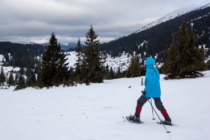 Горганами по снегоступам (Путешествия, карпаты, горганы, снегоступы)