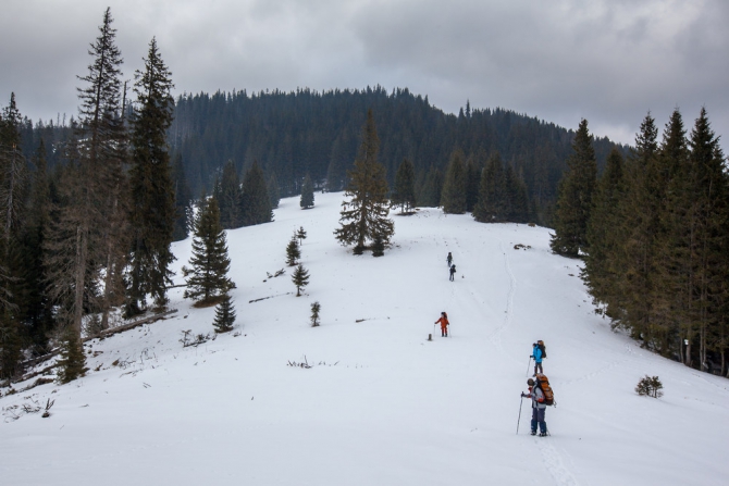 Горганами по снегоступам (Путешествия, карпаты, горганы, снегоступы)