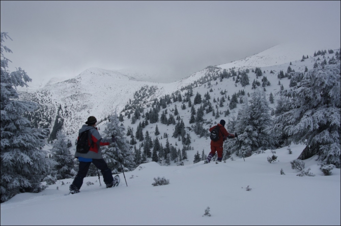 Горганами по снегоступам (Путешествия, карпаты, горганы, снегоступы)