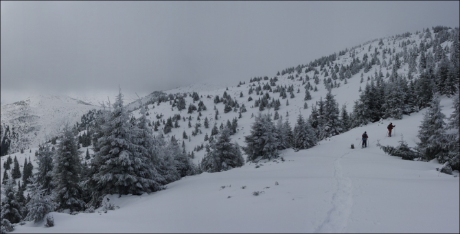 Горганами по снегоступам (Путешествия, карпаты, горганы, снегоступы)