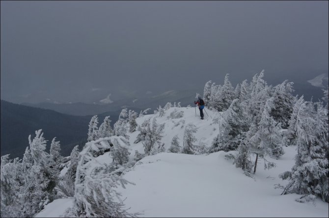 Горганами по снегоступам (Путешествия, карпаты, горганы, снегоступы)