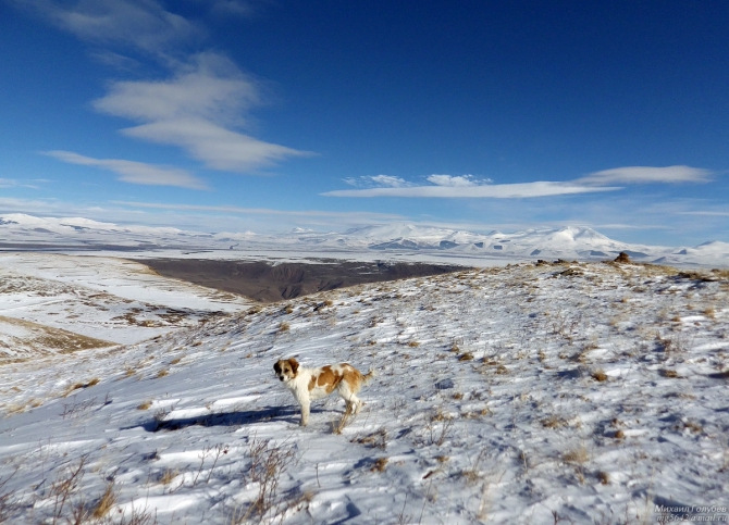 Грузия новогодняя. Часть 2 (Путешествия, ванис квабеби, вардзиа, тмогви, ахалцихе, тисели, ацкури)