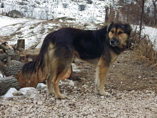 Грузия новогодняя, часть 3, заключительная (Путешествия, тбилиси, ананури, степнцминда, казбеги, казбек, осетия, дзивгис, карцадон, ольдуханхох)