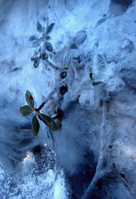 Фотоальбом с выходных в Кольм-Зайгруне. Ледолазание. (Ледолазание/drytoolling, альпы, альпинизм, мюнхен, австрия)