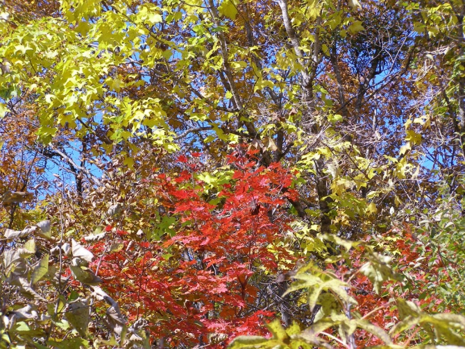 Беневские Столбы (Приморский край, Путешествия, беневское)