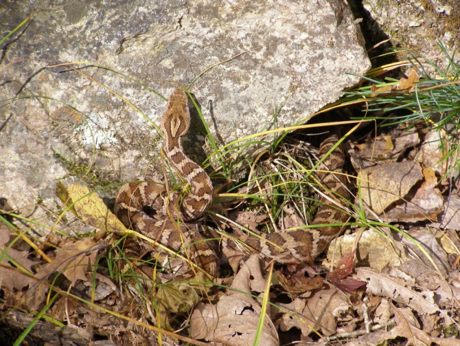 Беневские Столбы (Приморский край, Путешествия, беневское)