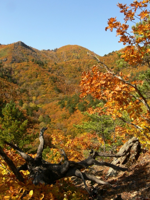 Беневские Столбы (Приморский край, Путешествия, беневское)