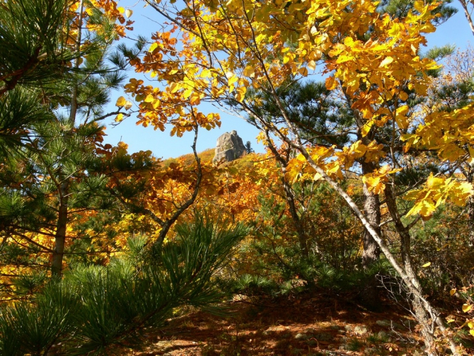 Беневские Столбы (Приморский край, Путешествия, беневское)