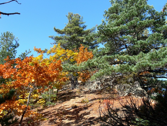 Беневские Столбы (Приморский край, Путешествия, беневское)